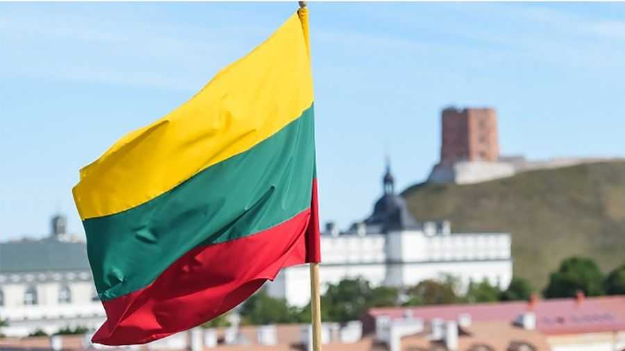 Власти Литвы проголосовали за ужесточение регулирования криптовалют 0