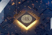 Активность в сети Биткоина достигла максимума за два года 9eda65cf1331c1d7a2729790f9c8a248