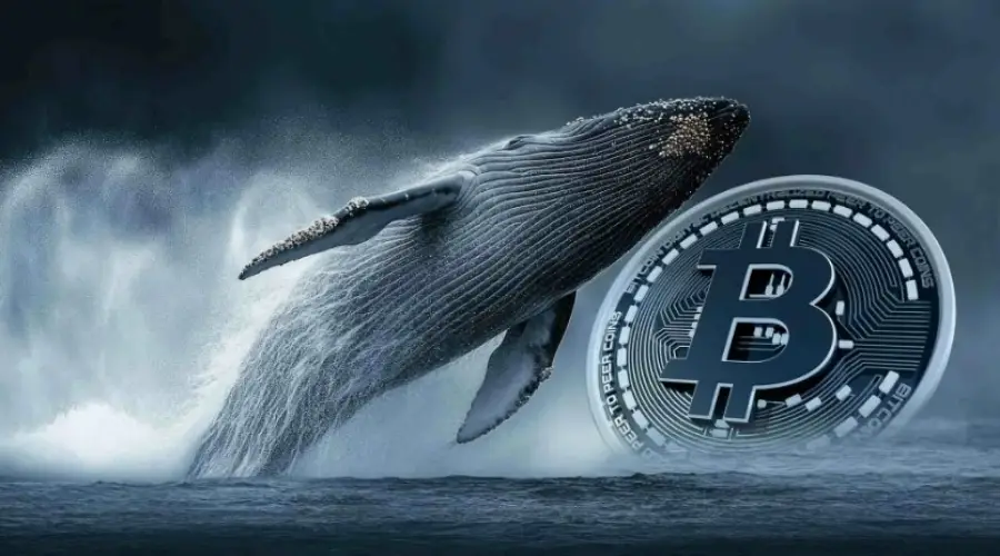 Читать Крупный инвестор распродал биткоины с убытком 40% от цены покупки Крупный инвестор распродал биткоины с убытком 40% от цены покупки0