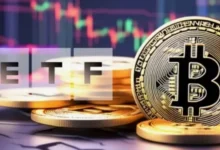 Июнь стал худшим месяцем в истории спотовых биткоин-ETF 00dce2d1b3c2d6d6d016c6f3c11d0efa
