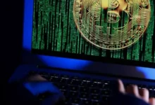 Россиянин потерял более 2,3 млн рублей из-за криптомошенников 1f6dc285b7100f4866f2922f57d0a046