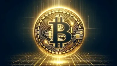 Биткоин-ETF увеличили приток капитала — после десяти дней убытков d8d5779d99d34bcf24aaf1477a455422